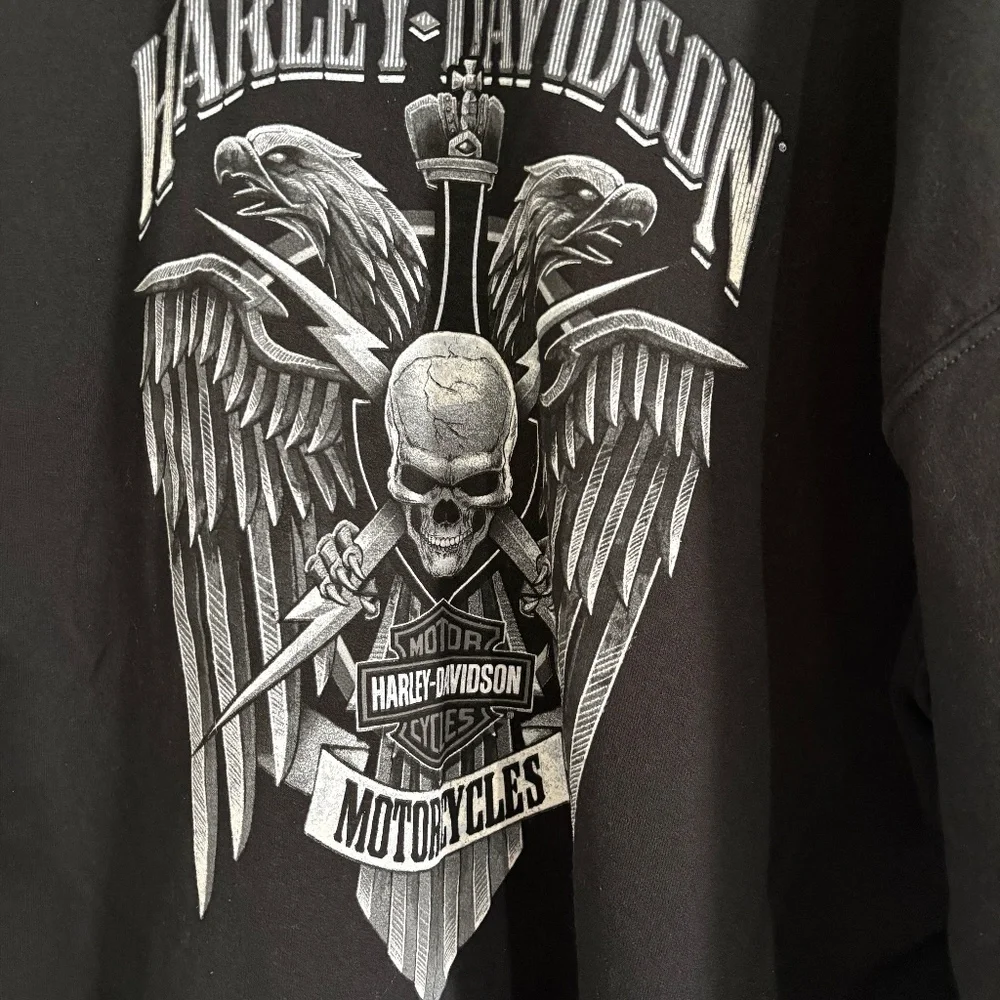 Harley-Davidson Men's Lightning Crest Pullover Hooded Sweatshirt - Picture 10 of 10